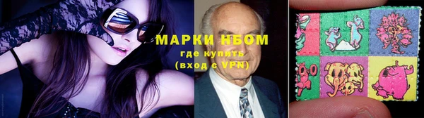 крисы Зеленокумск