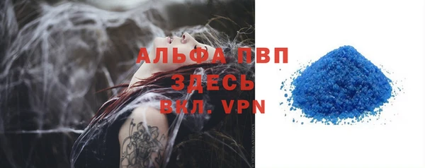 сатива Иннополис
