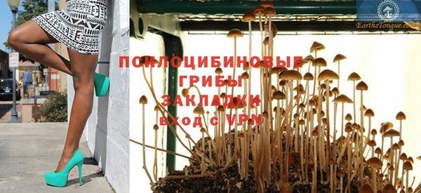 крисы Зеленокумск