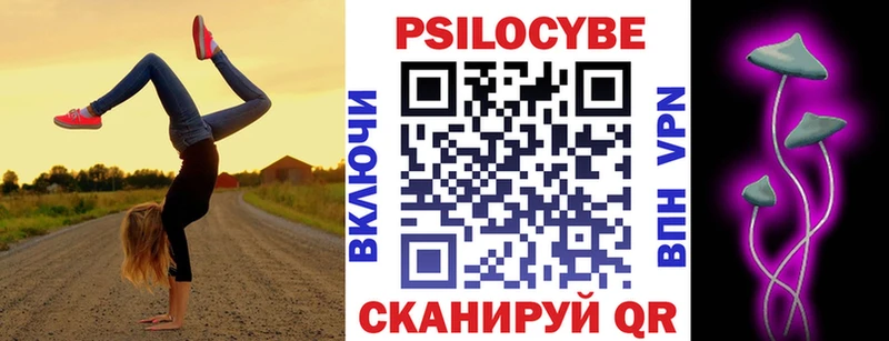 Купить закладки  Салехард  Псилоцибиновые грибы Psilocybine cubensis 